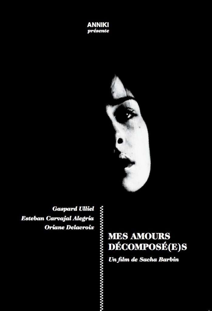 Mes Amours Décomposé(e)s
