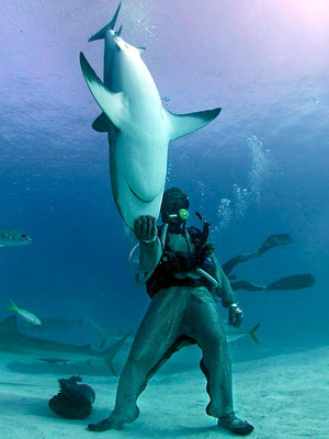 L'homme qui charmait les requins