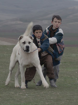 Sivas