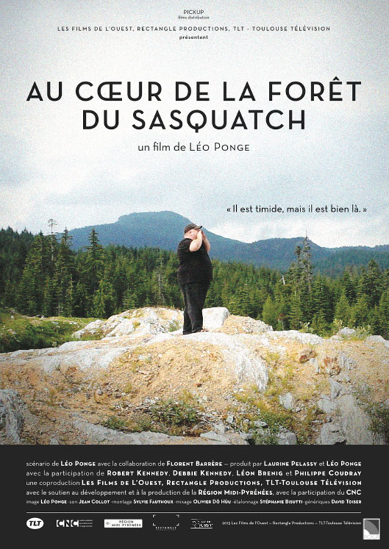 Au cœur de la forêt du Sasquatch stream