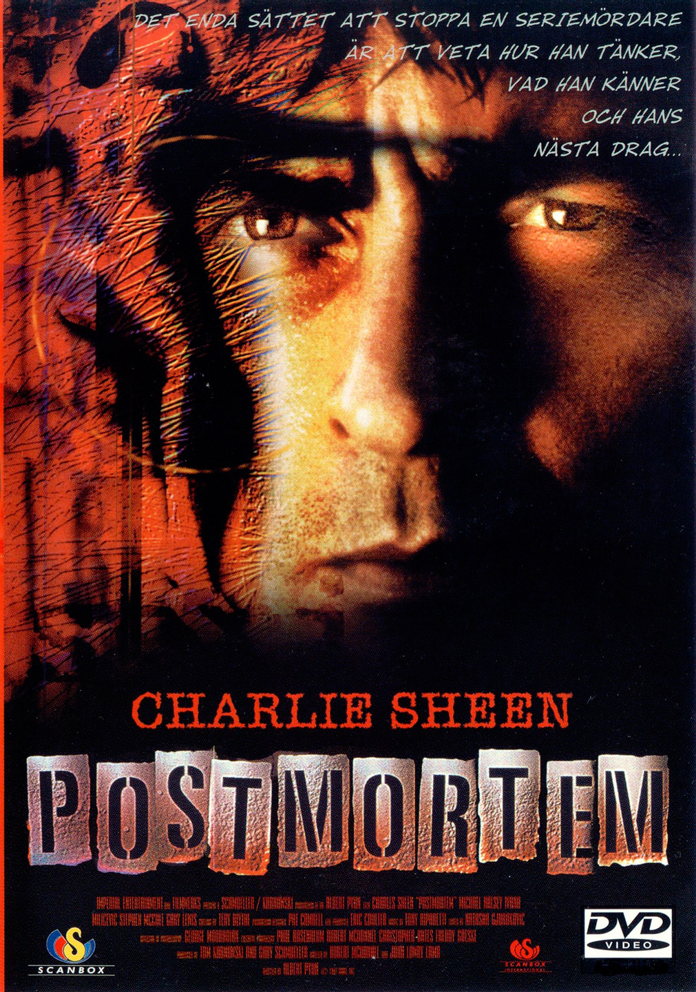 Postmortem