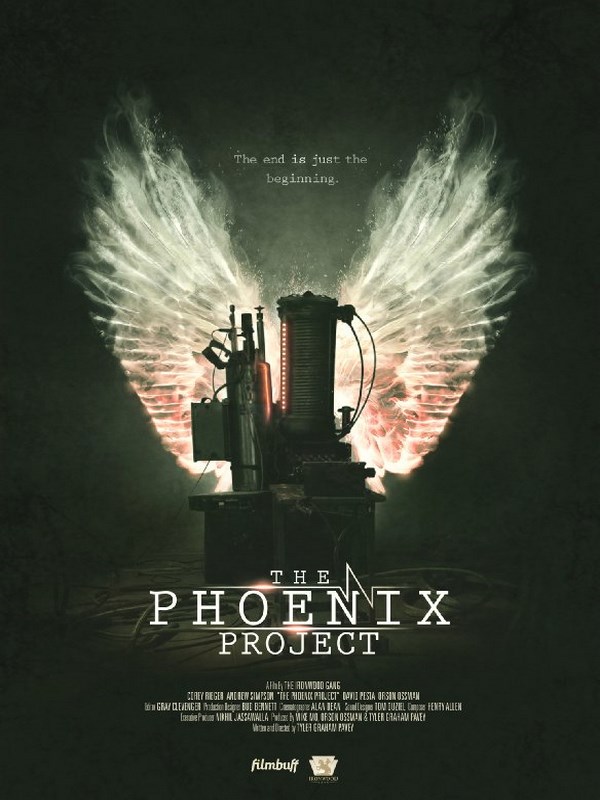 The Phoenix Project stream