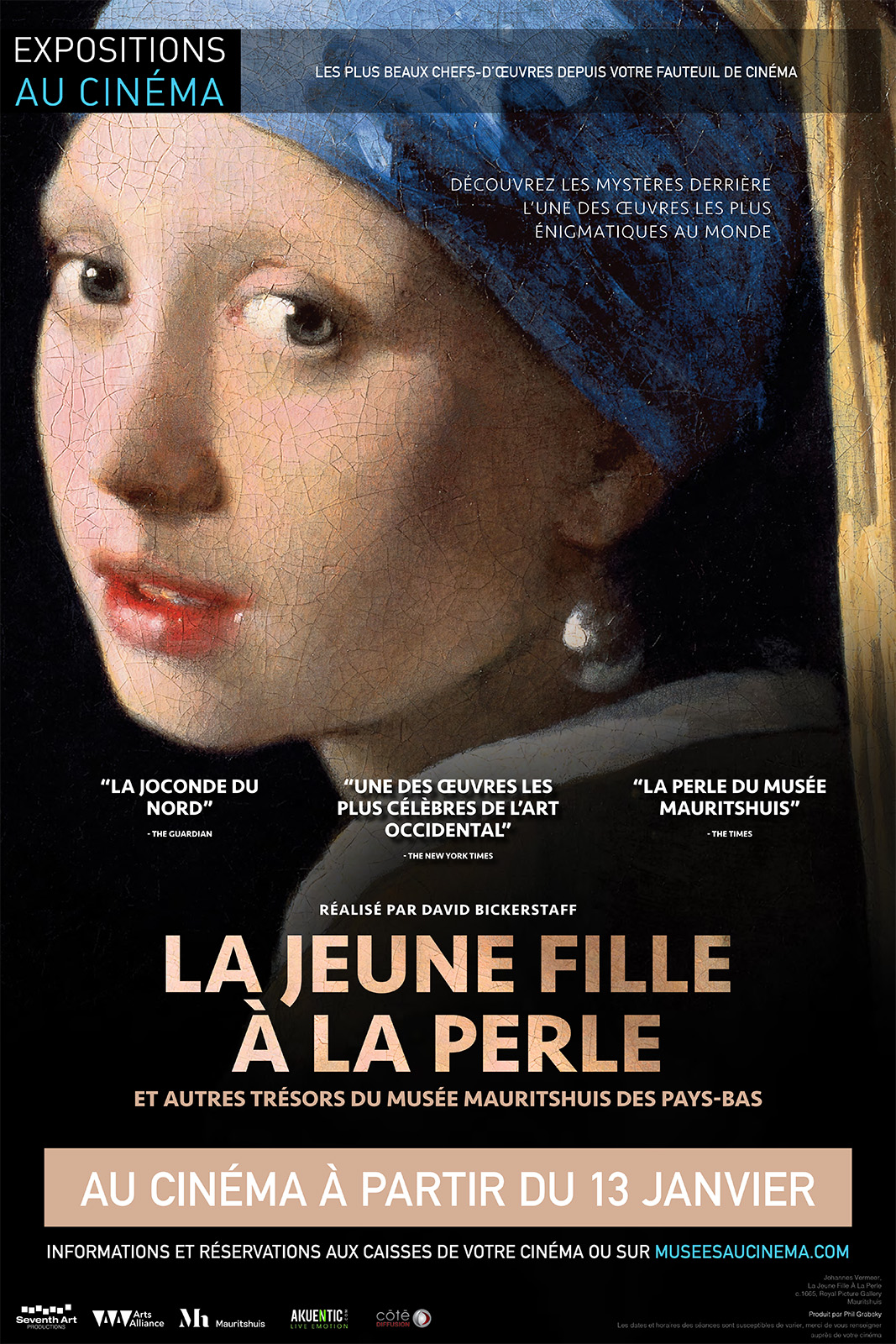 La jeune fille à la perle Vermeer (Côté Diffusion) stream