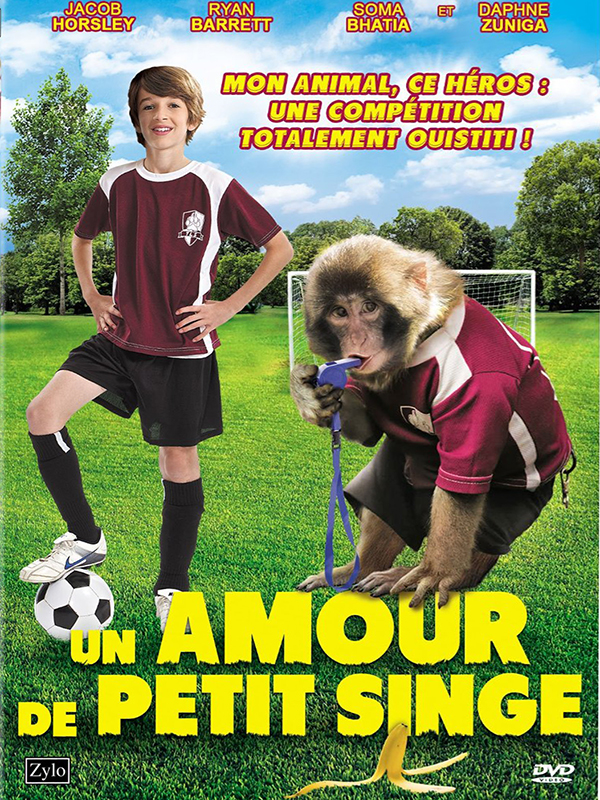 Un amour de petit singe