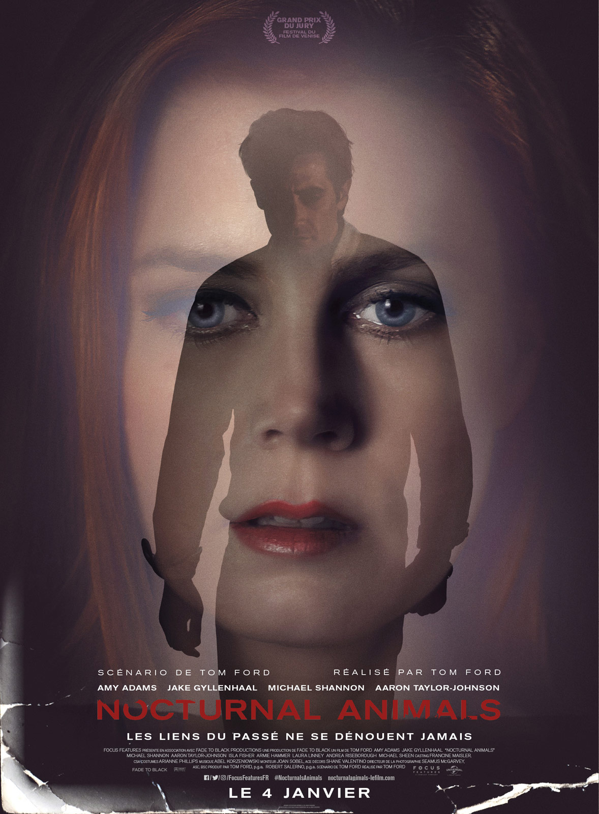 Nocturnal Animals stream