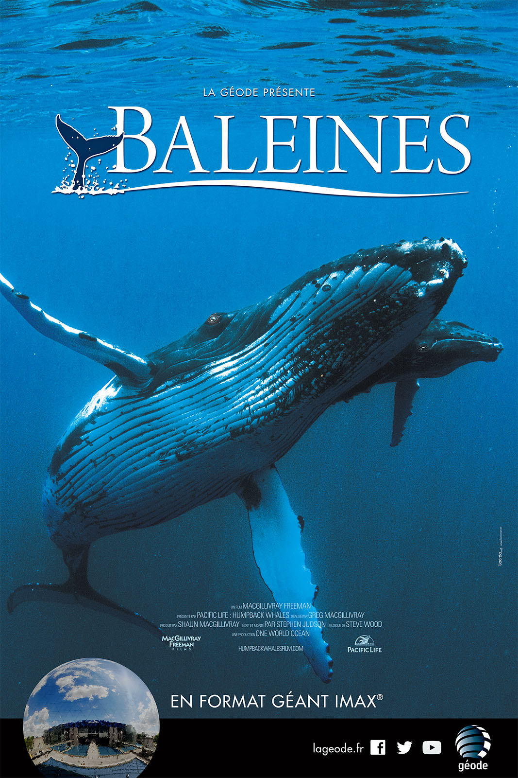 Baleines stream