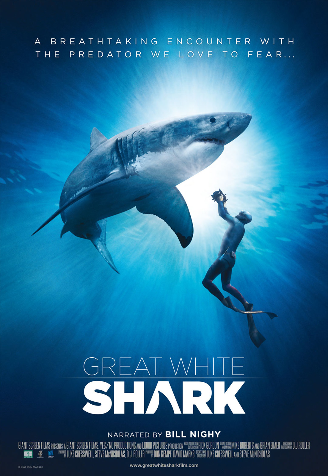 Requins blancs 3D
