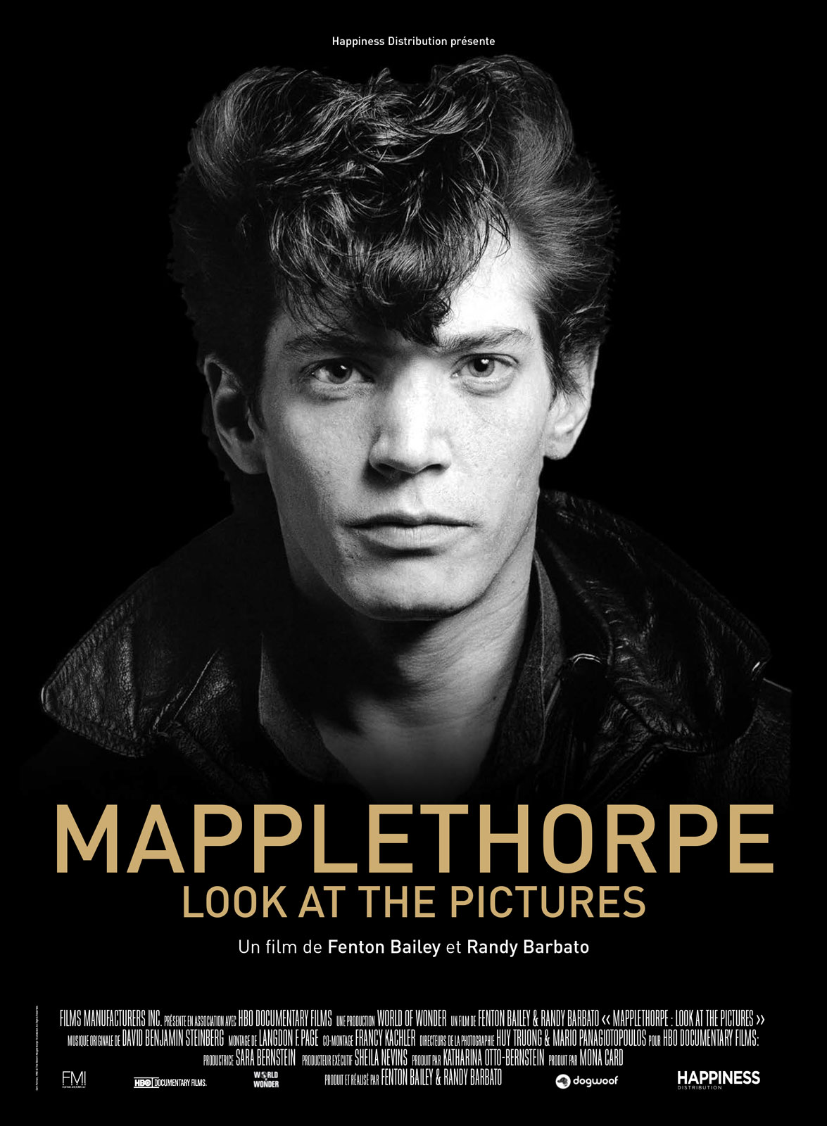 Mapplethorpe : Look at the Pictures stream