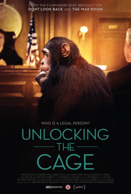 Unlocking the Cage stream