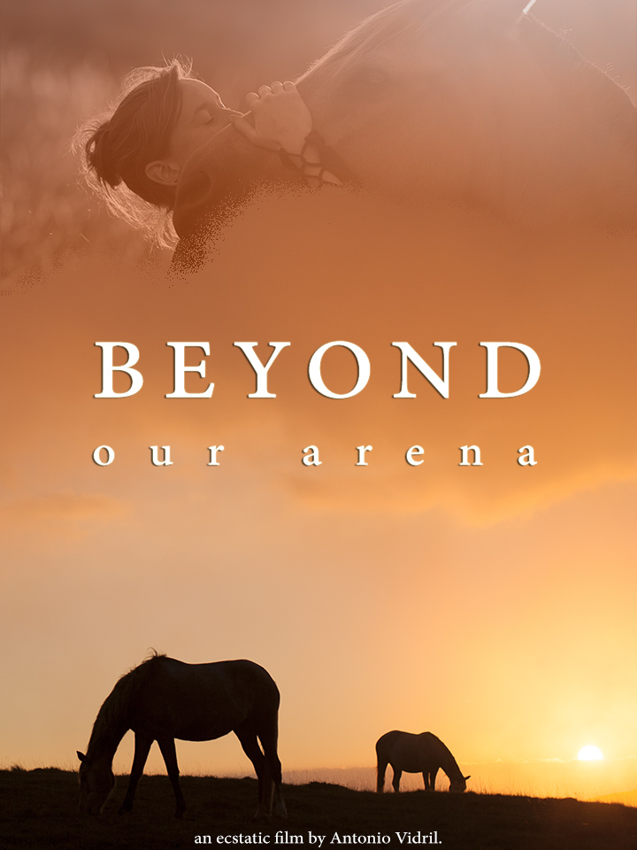 Beyond our arena stream