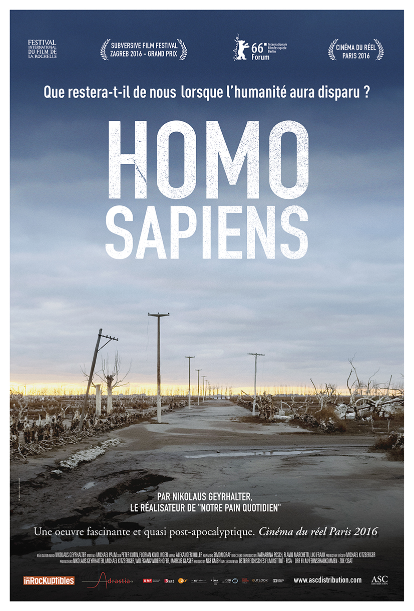 Homo sapiens stream