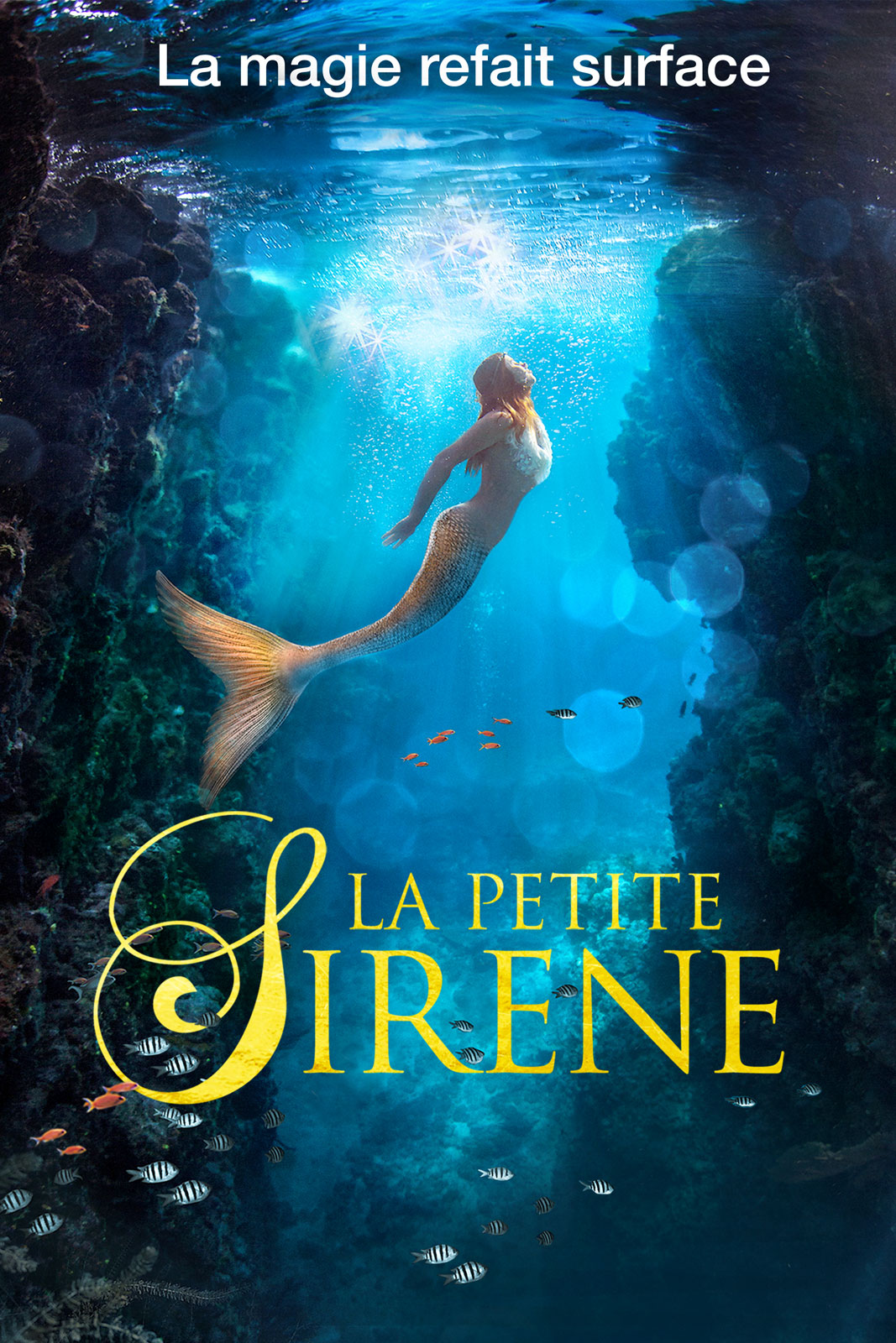 La Petite Sirène stream