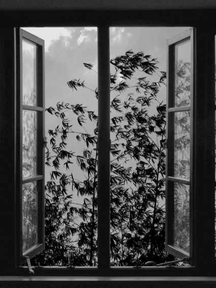 24 Frames