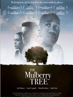 The Mulberry Tree