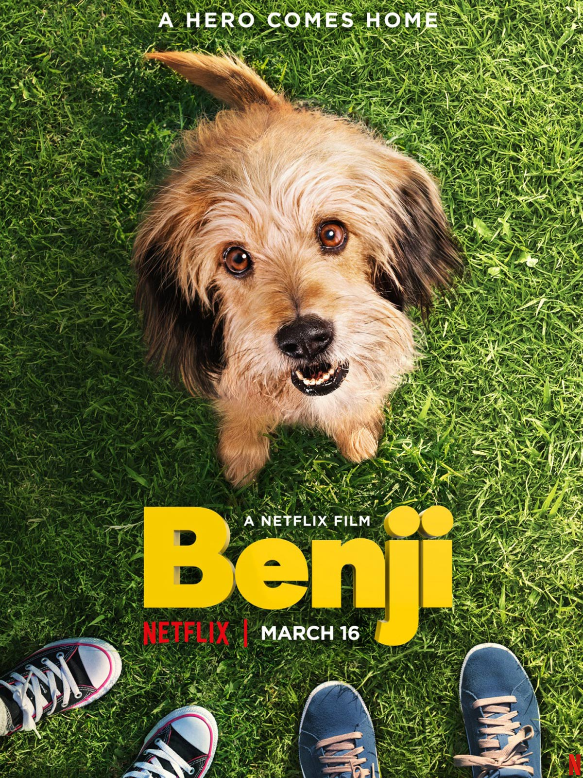 Benji stream