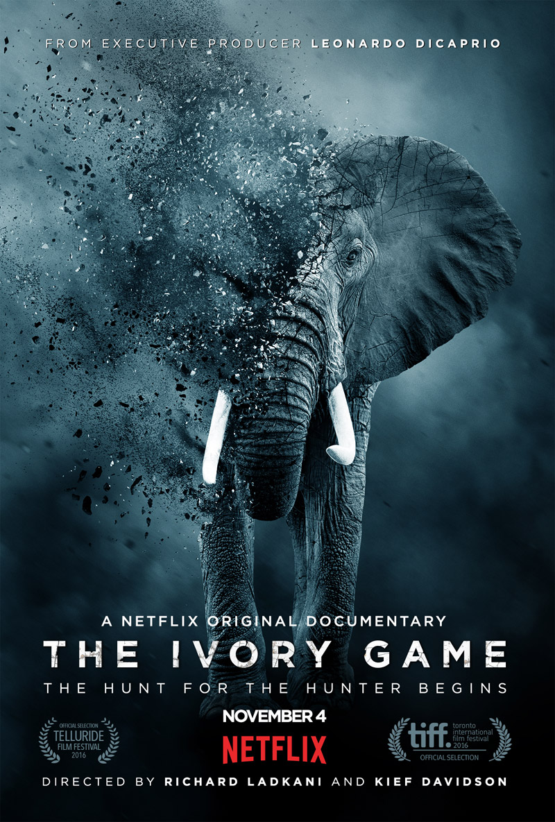 The Ivory Game stream