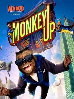 Monkey Up stream