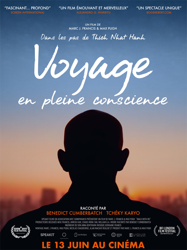 Voyage en pleine conscience stream