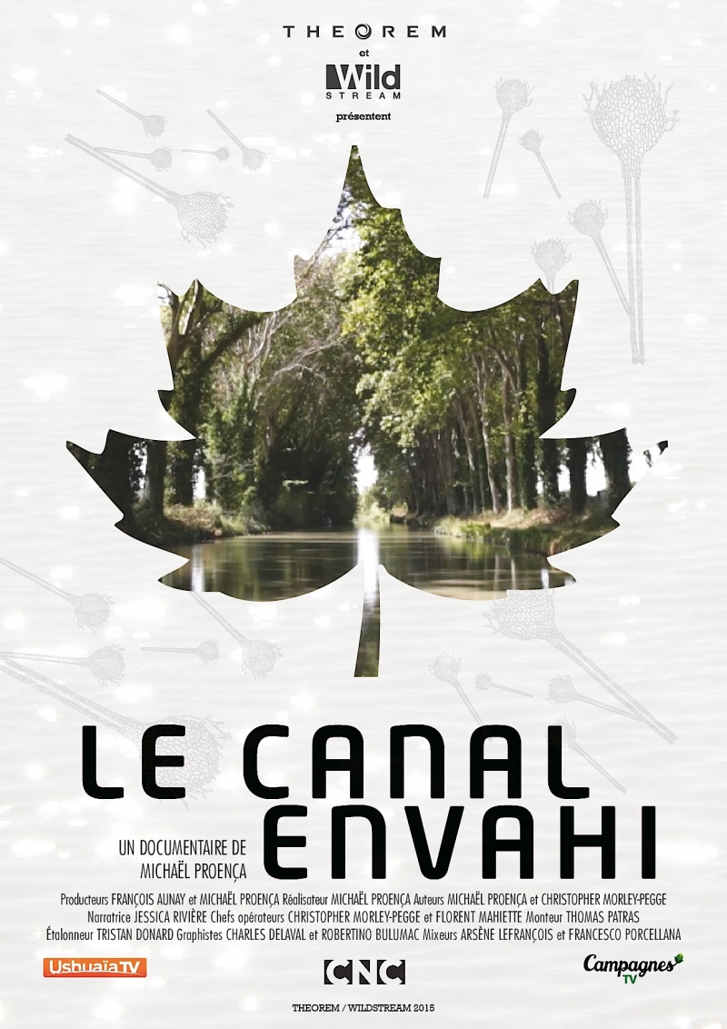 Le Canal envahi stream