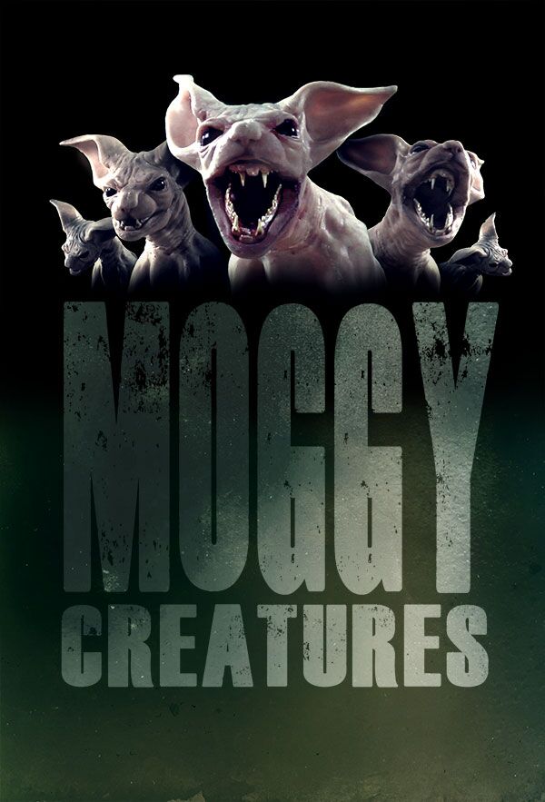 Moggy Creatures