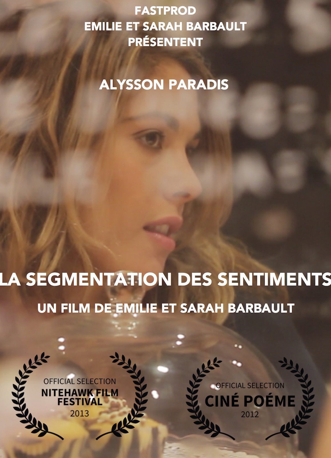 La Segmentation des sentiments stream