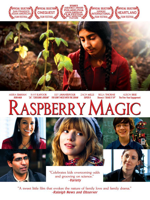 Raspberry Magic stream