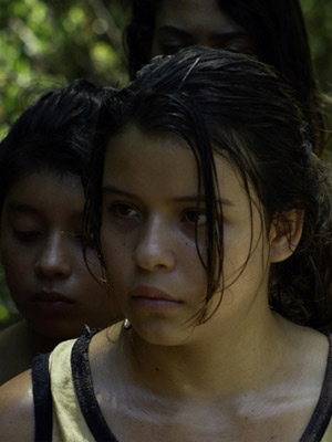 Damiana