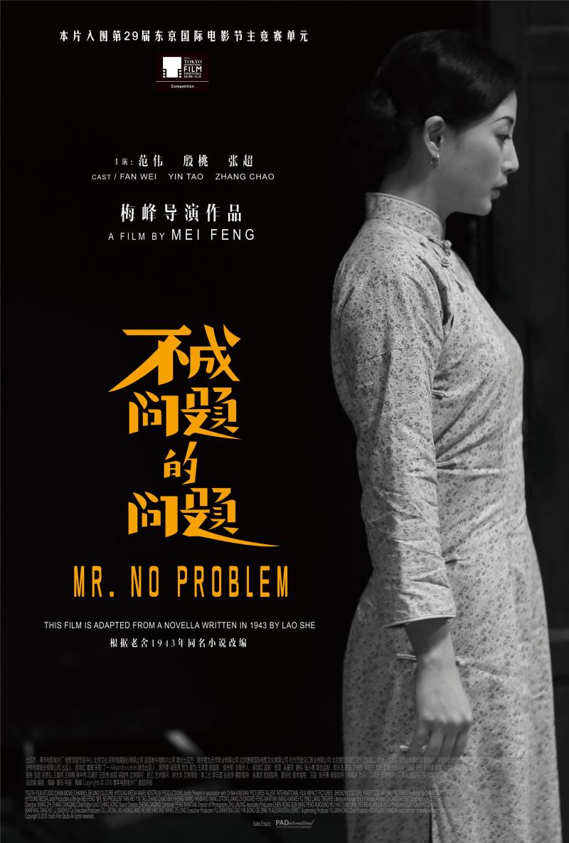 Mr No Problem