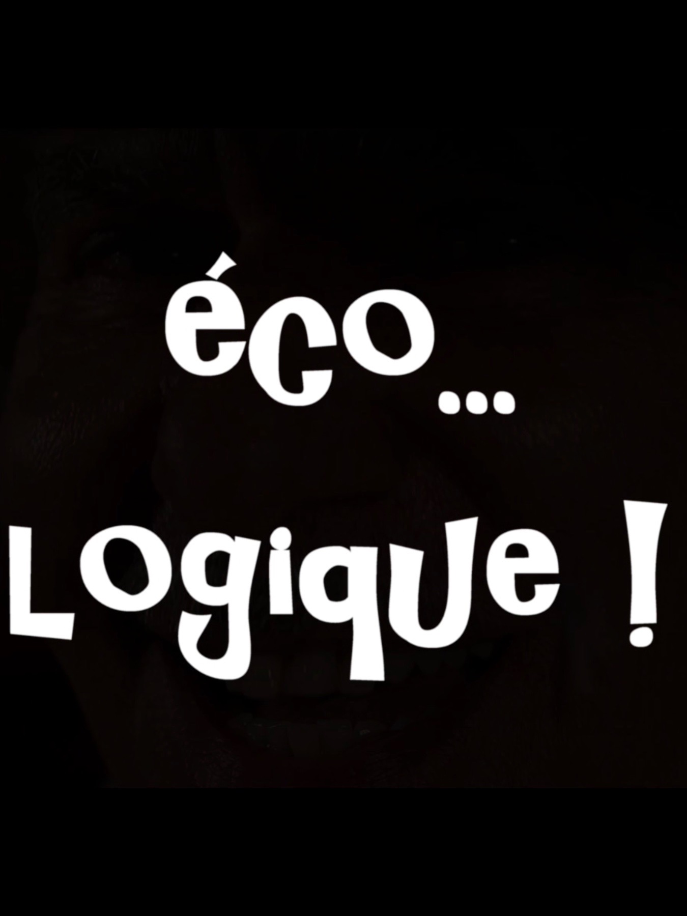 Eco... Logique ! stream