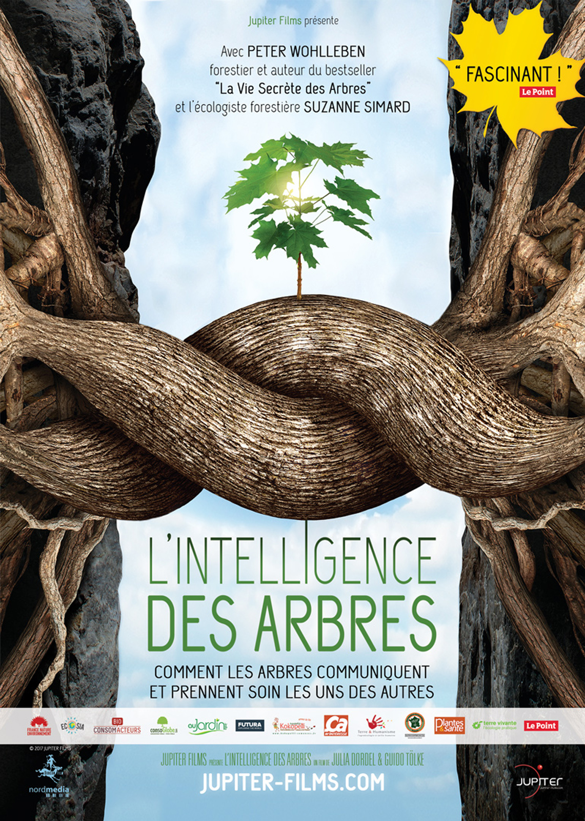 L'Intelligence des Arbres stream