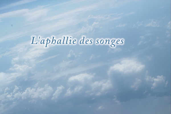L'Aphallie des Songes