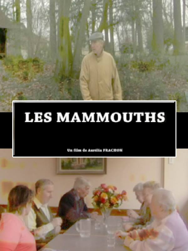 Les Mammouths stream