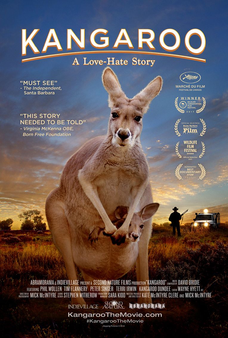 Kangaroo – A Love-Hate Story