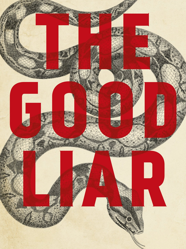 The Good Liar stream