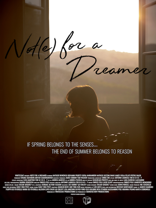 Not(e) for a Dreamer stream