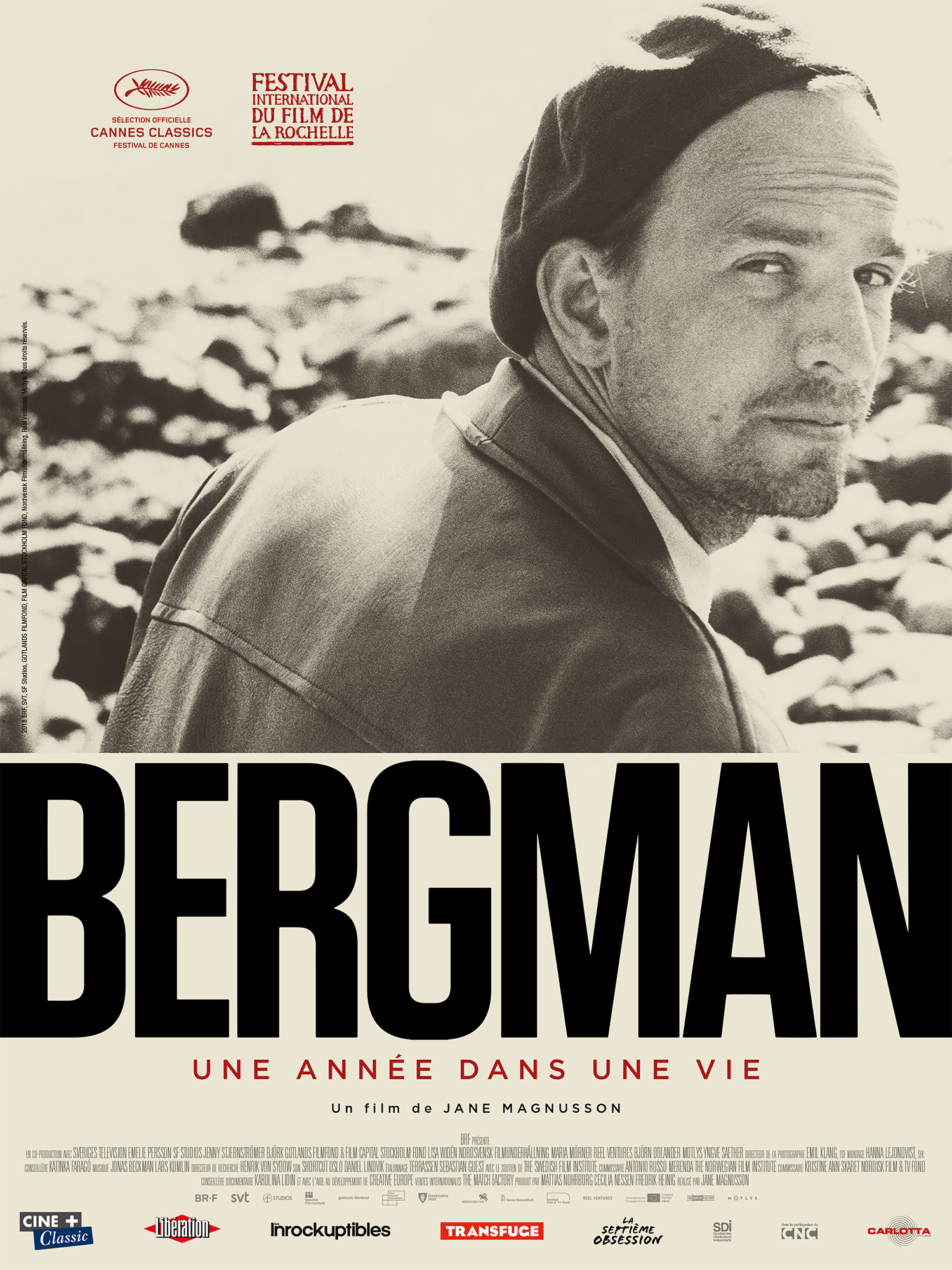 Bergman, une année dans une vie stream