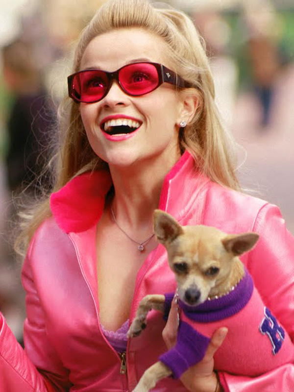 Legally Blonde 3 stream