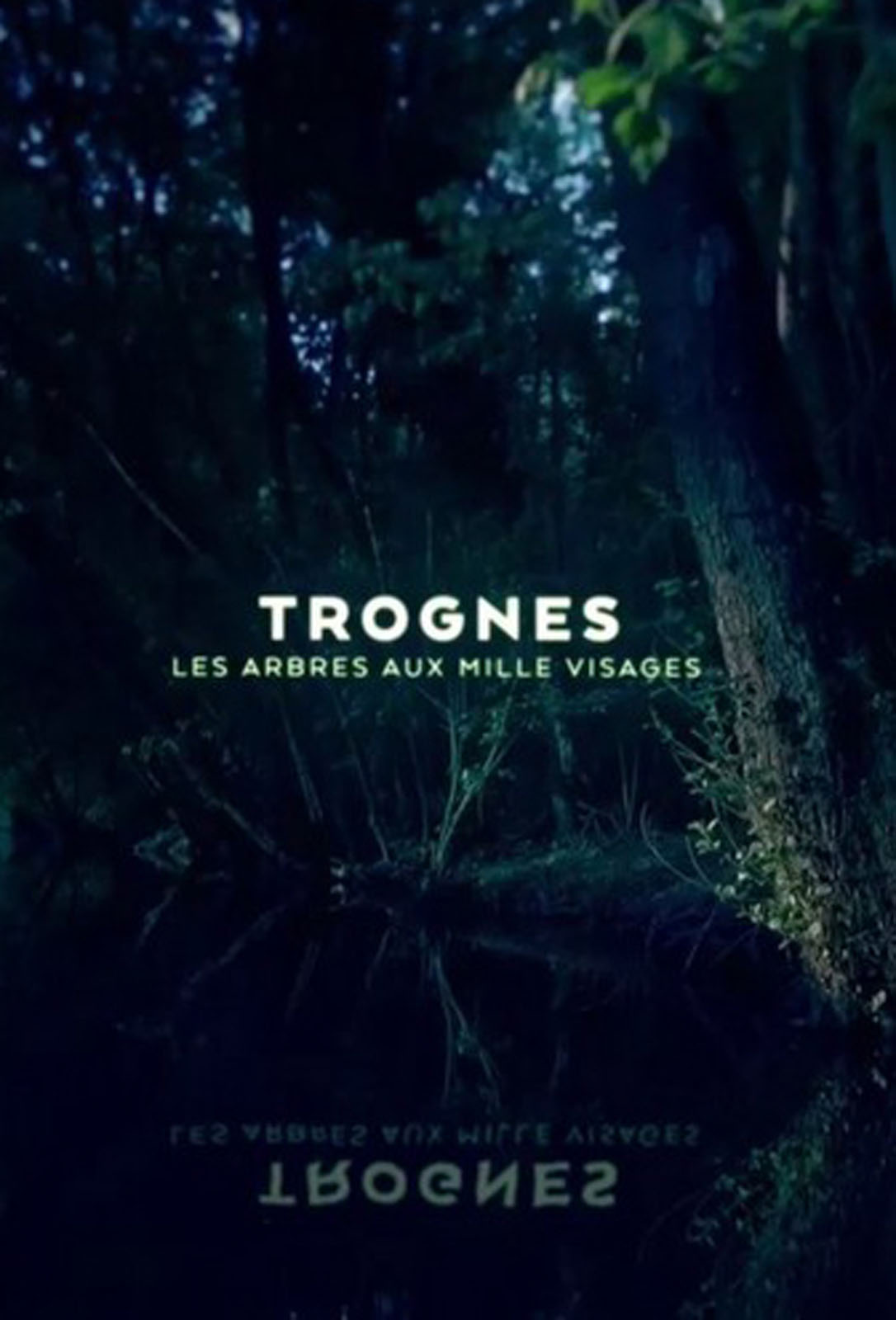 Trognes, les arbres aux milles visages stream