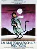 La Nuit tous les chats sont gris