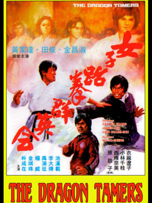Le Maître de Taekwondo
