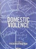 Domestic Violence