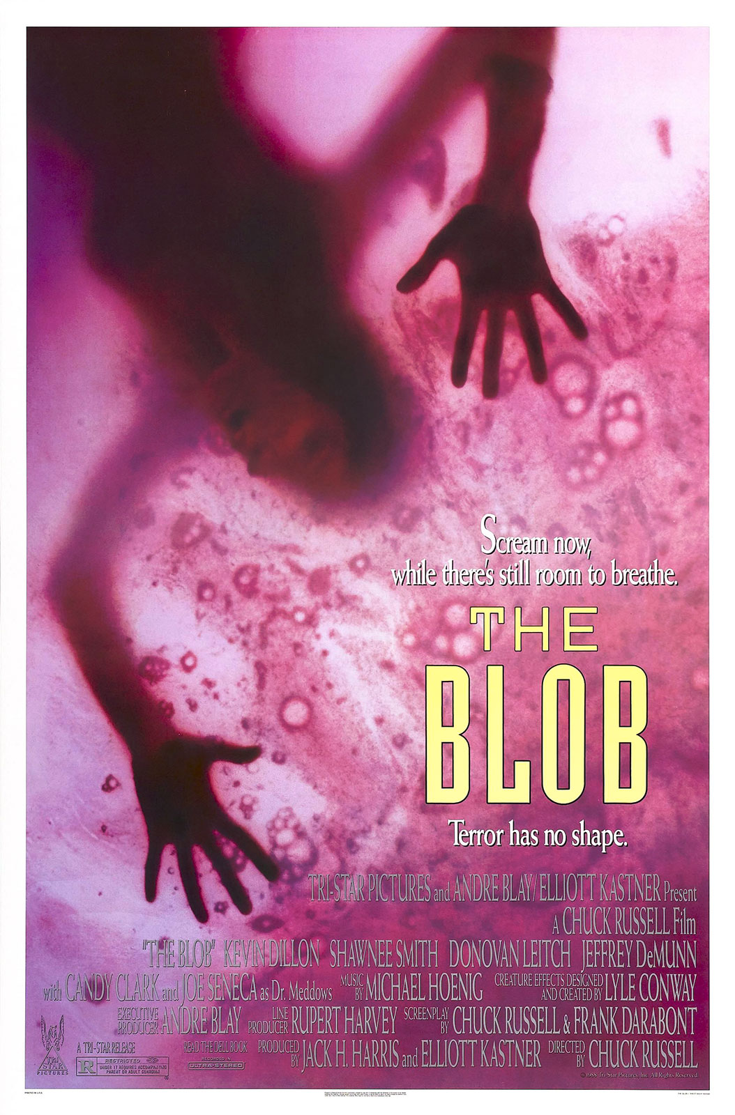 Le Blob stream