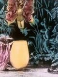 La Chrysalide et le papillon