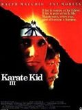 Karate Kid 3 stream