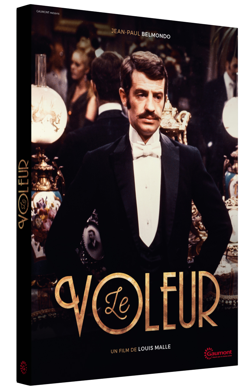 Le Voleur