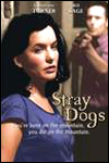 Stray Dogs