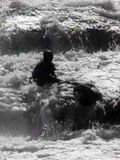 Les Saisons stream
