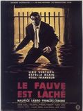 Le Fauve est lâché stream